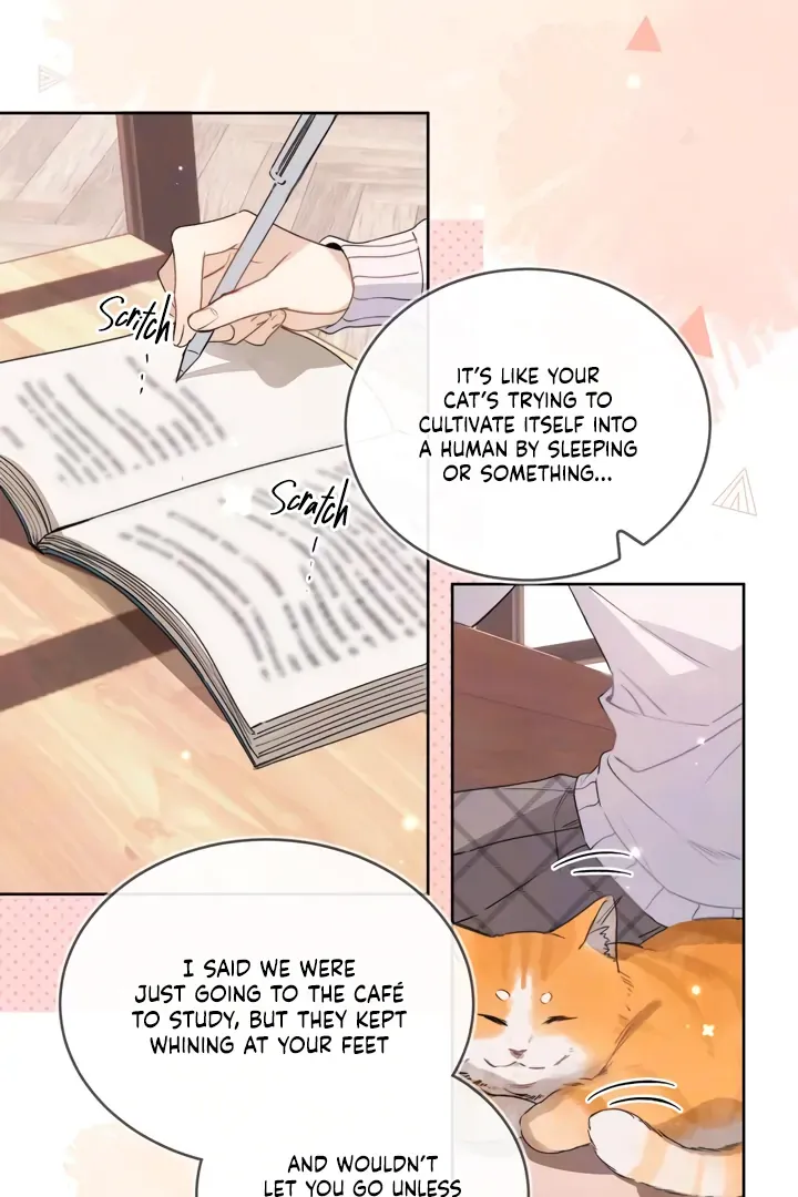 Confession Chapter 47 Online - página 26