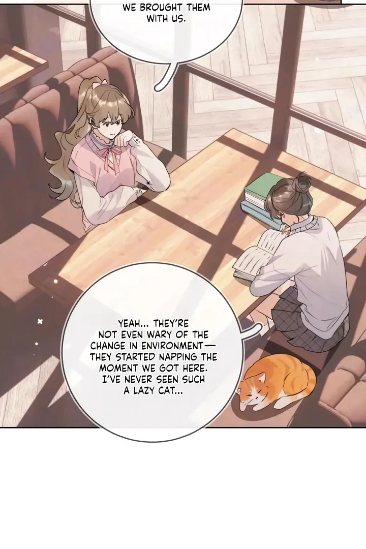 Confession Chapter 47 Online - página 27