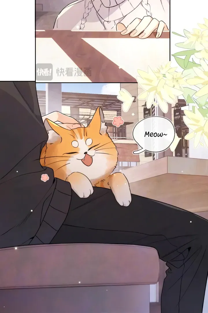 Confession Chapter 47 Online - página 38