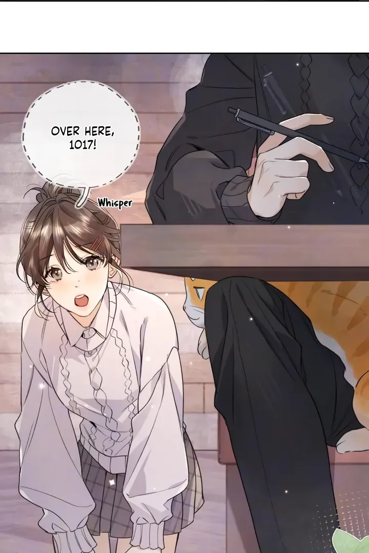 Confession Chapter 47 Online - página 39