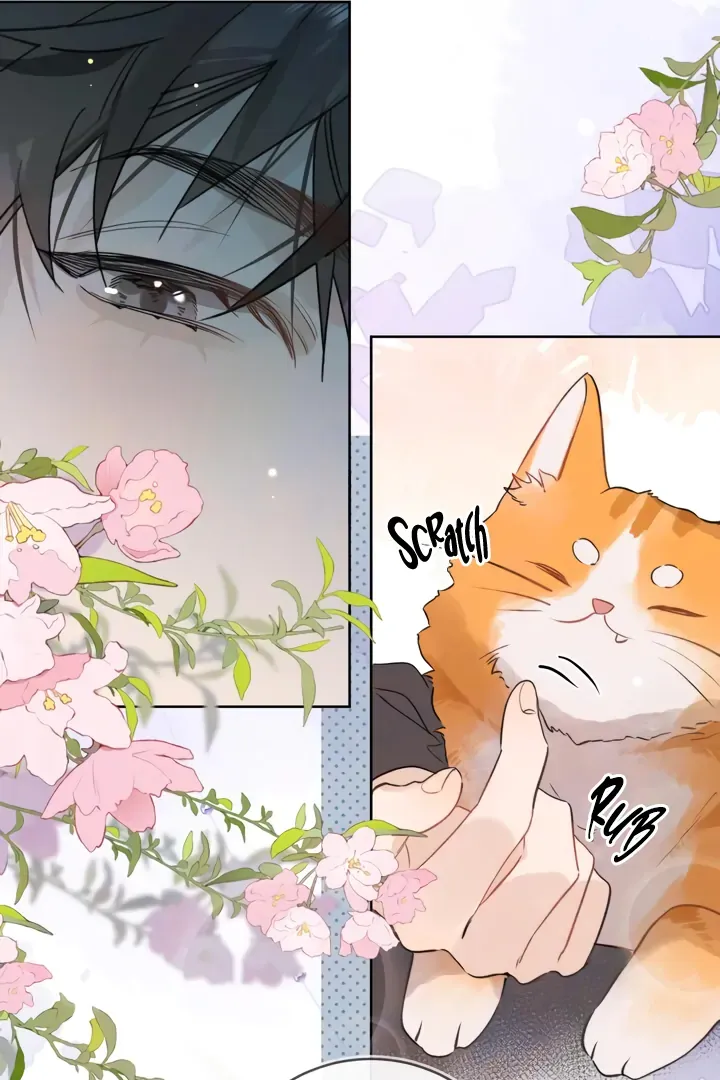 Confession Chapter 47 Online - página 43