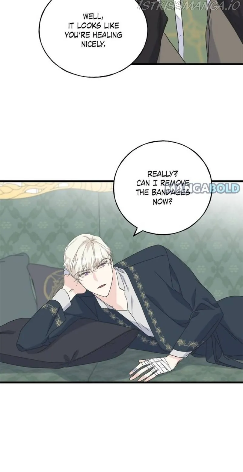 Crows Like Shiny Things Chapter 46 Online - página 13