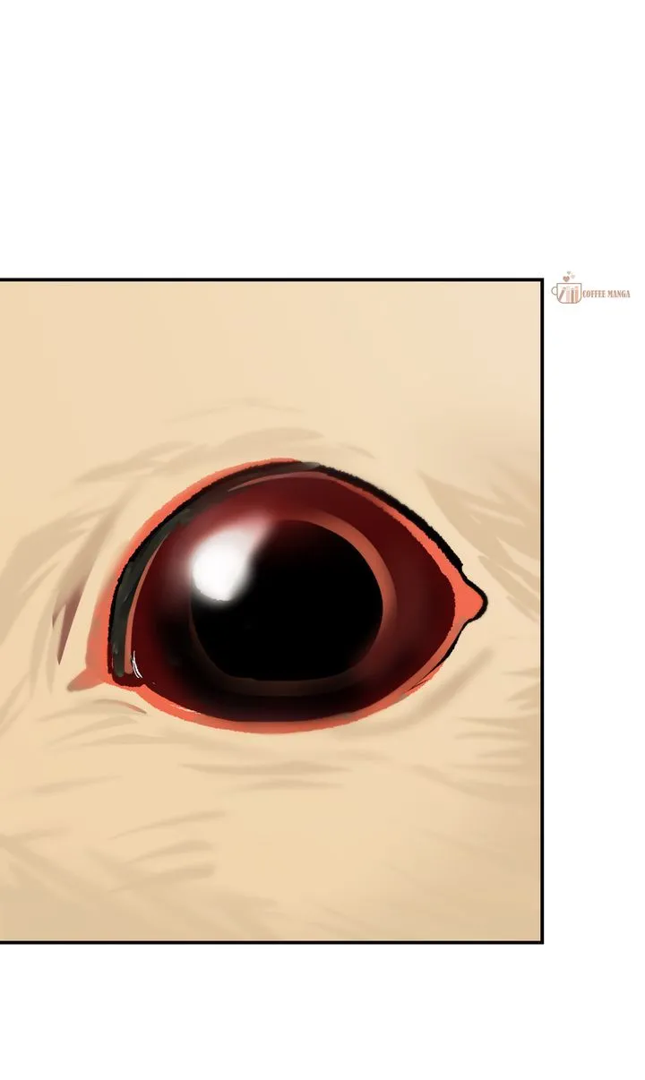 Dear Hong Rang Chapter 51 Online - página 64