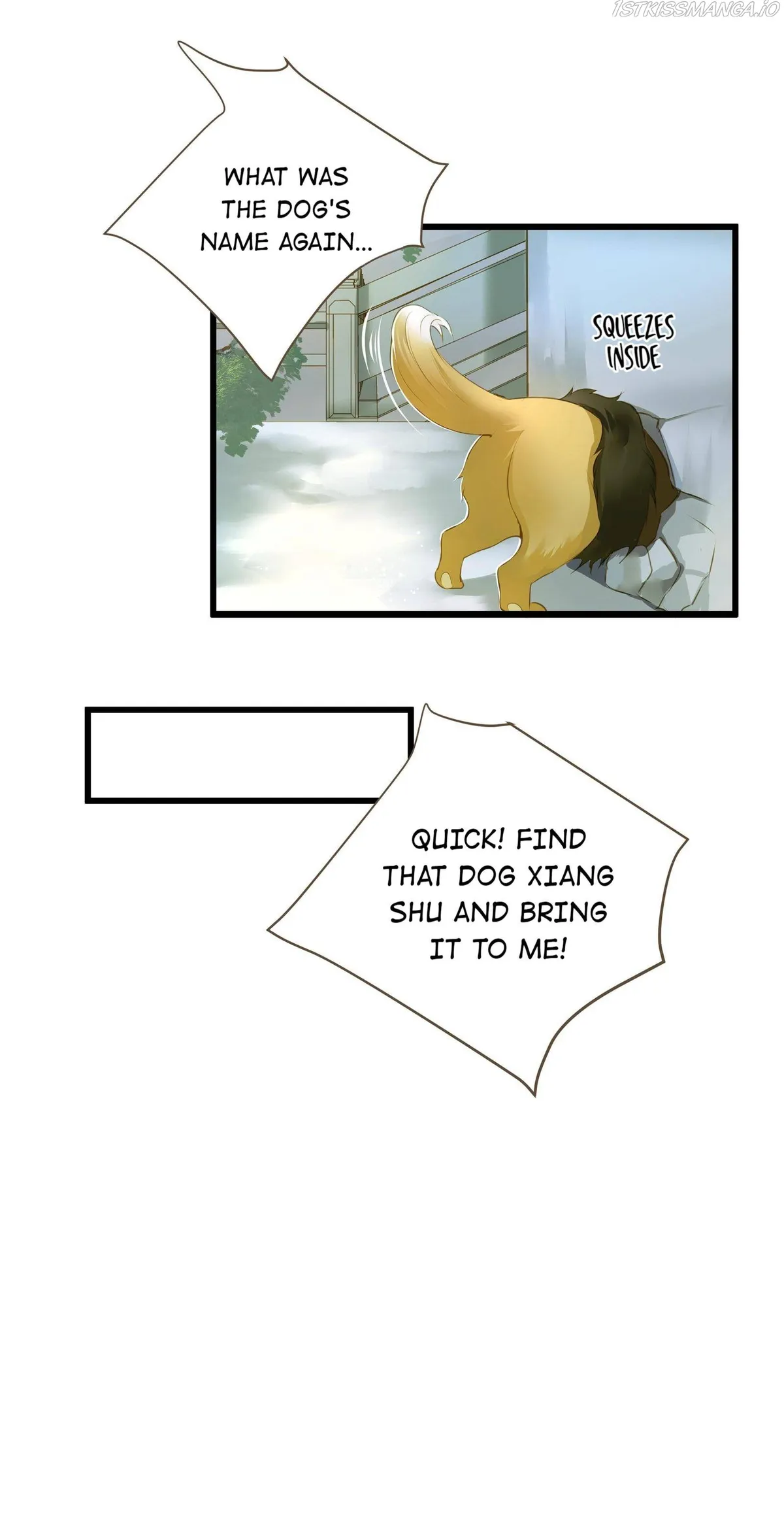 Dinghai Fusheng Records Chapter 32 Online - página 22