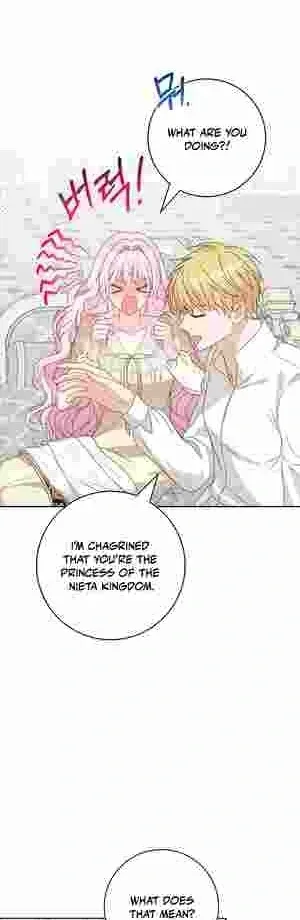 Do All Mothers in Childcare Novels have to Die? Chapter 19 Online - página 52