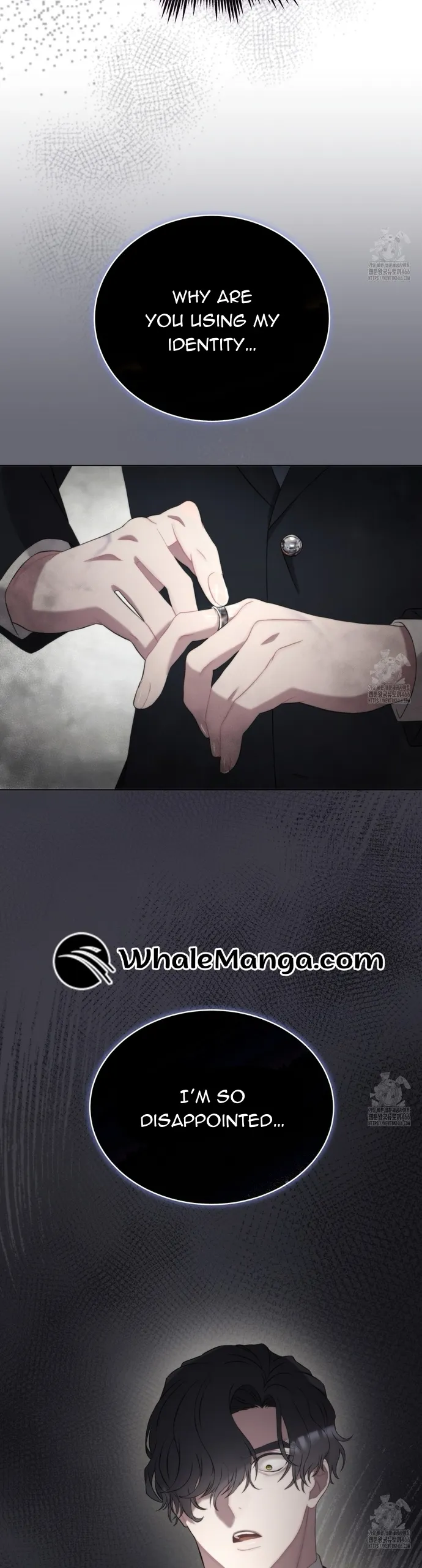 Doberman Chapter 18 Online - página 41