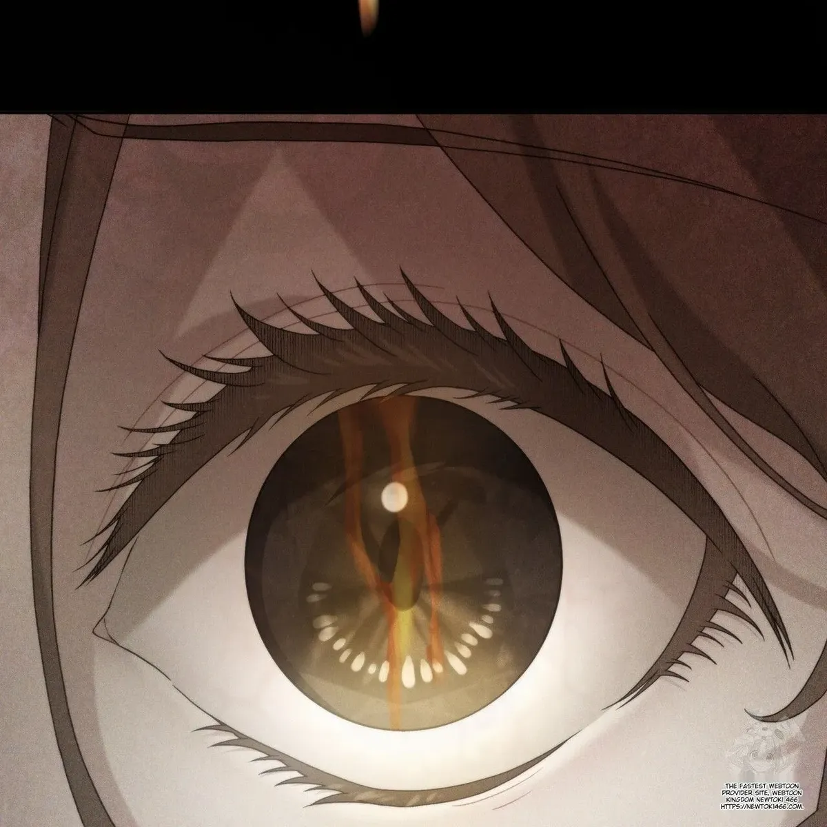 Doberman Chapter 20 Online - página 101