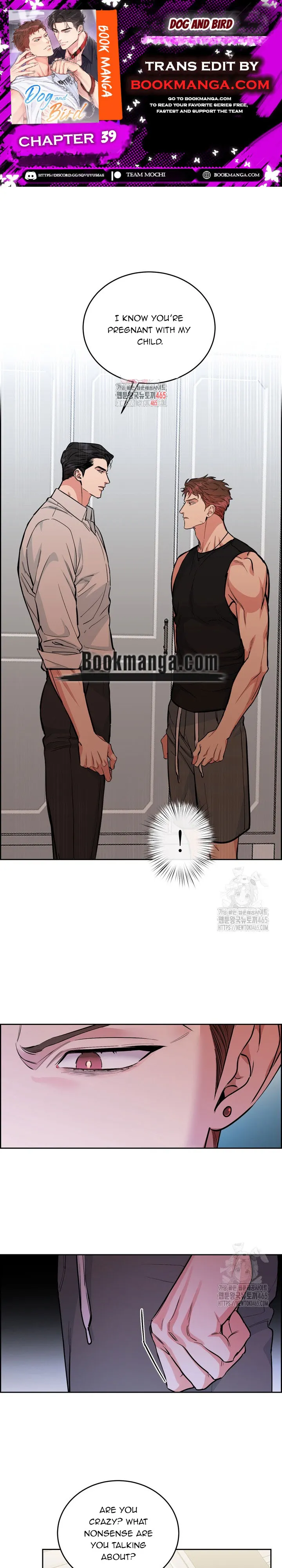 Dog and bird Chapter 39 Online - página 1