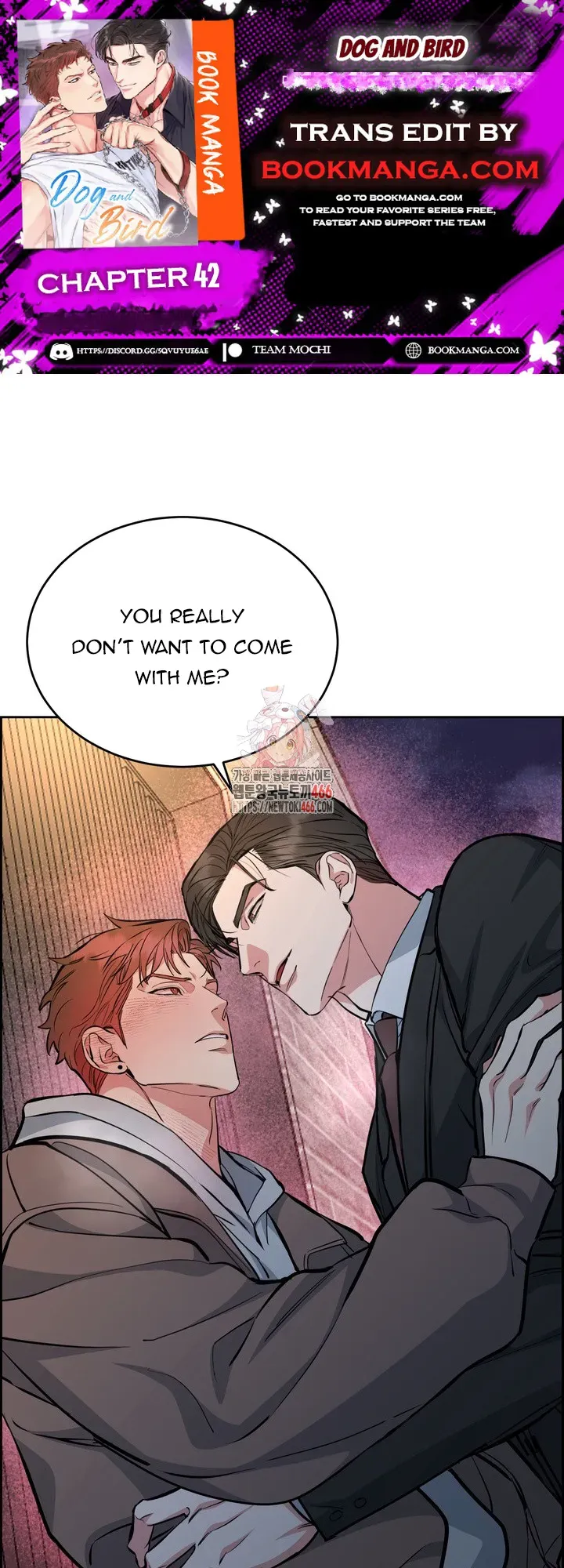 Dog and bird Chapter 42 Online - página 1
