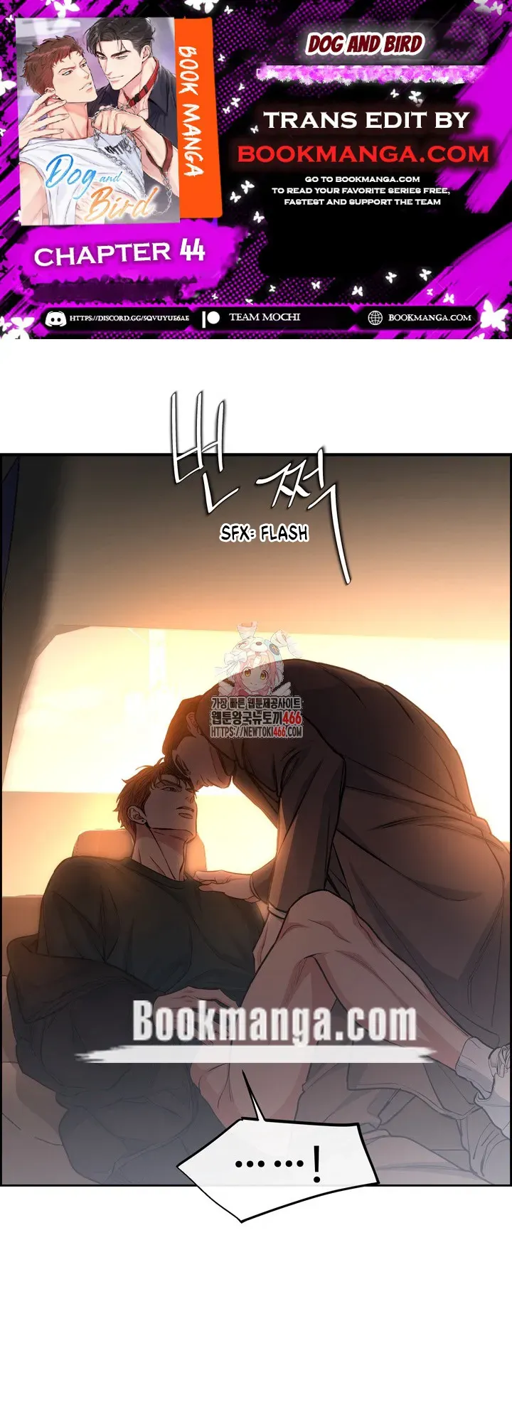 Dog and bird Chapter 44 Online - página 1