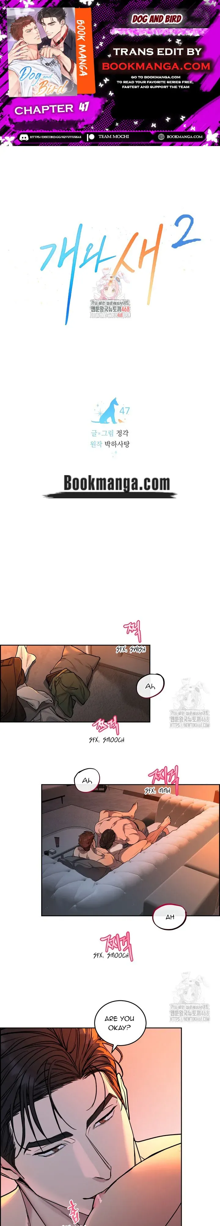 Dog and bird Chapter 47 Online - página 1