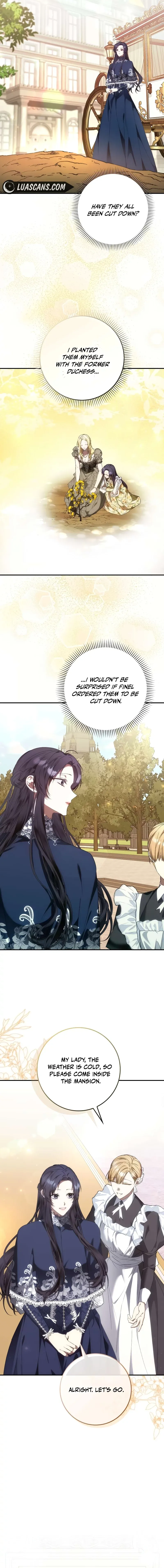 Don’t pick up the trash you threw away Chapter 77 Online - página 13