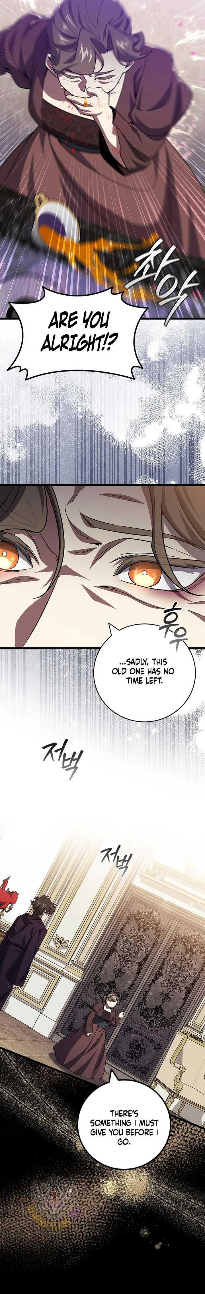 Dragon-Devouring Mage Chapter 104 Online - página 9