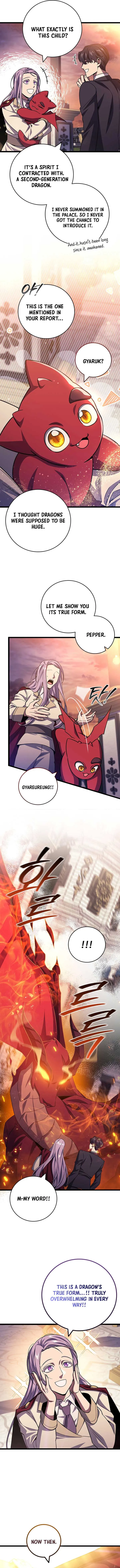 Dragon-Devouring Mage Chapter 105 Online - página 14