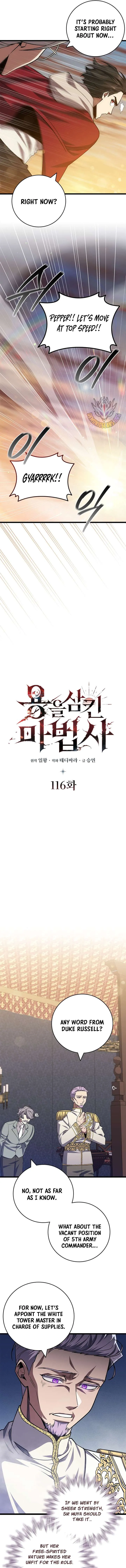 Dragon-Devouring Mage Chapter 116 Online - página 3