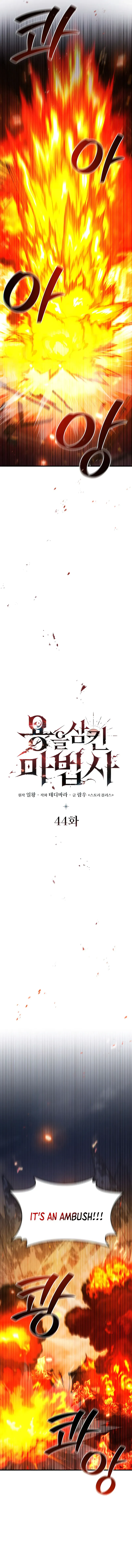 Dragon-Devouring Mage Chapter 44 Online - página 5