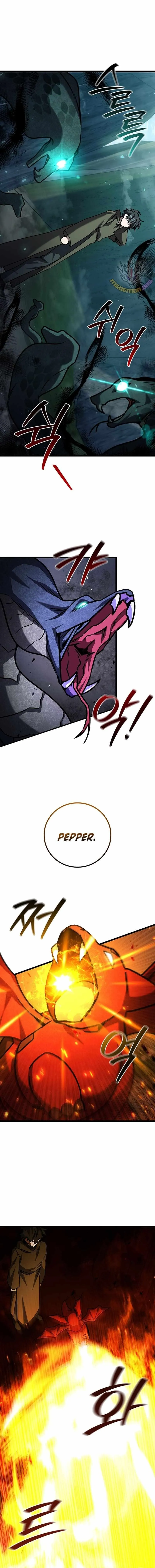 Dragon-Devouring Mage Chapter 70 Online - página 19