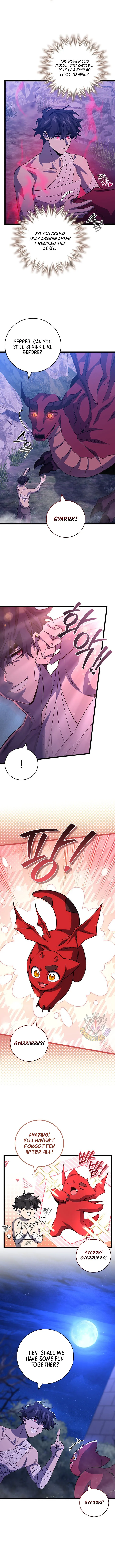 Dragon-Devouring Mage Chapter 98 Online - página 8