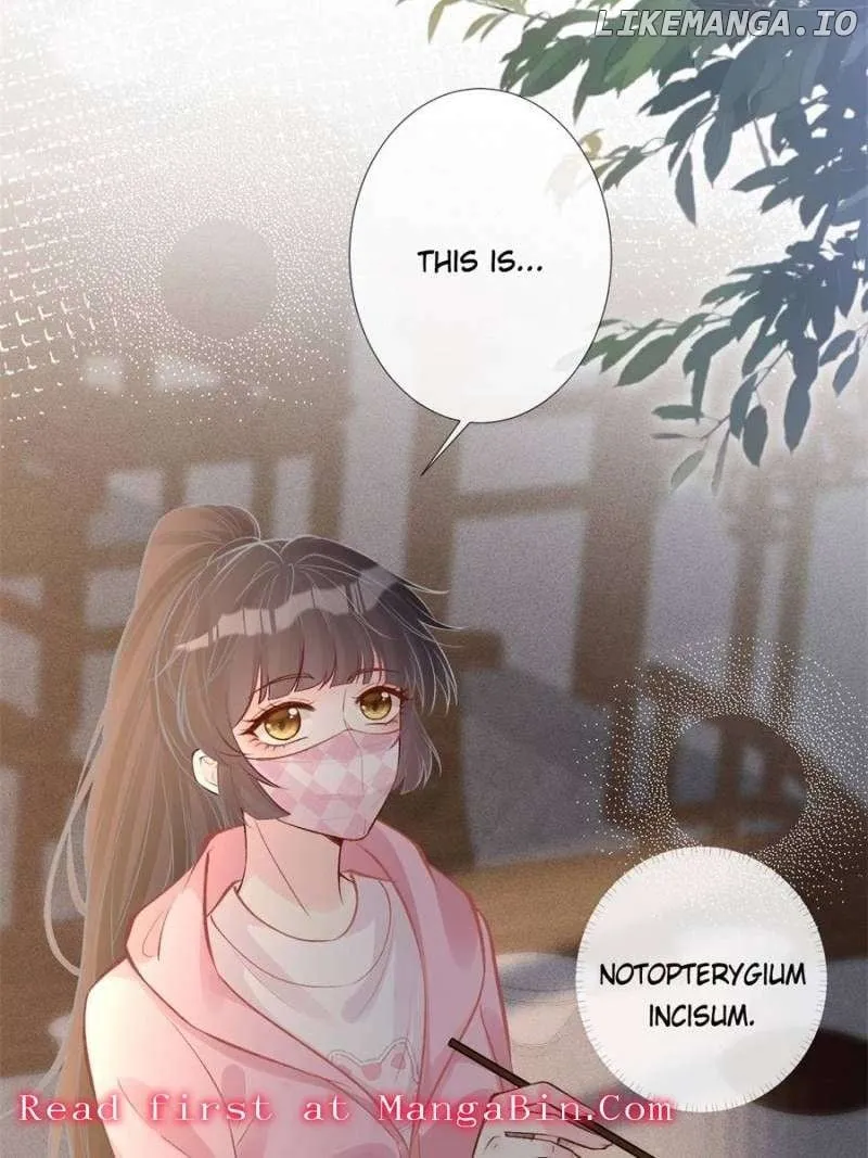 Everyone’s Darling Chapter 119 Online - página 18