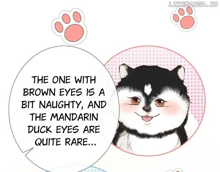 Everyone’s Darling Chapter 149 Online - página 46