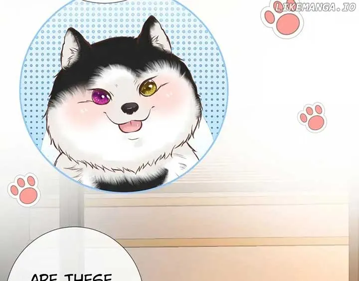 Everyone’s Darling Chapter 149 Online - página 47