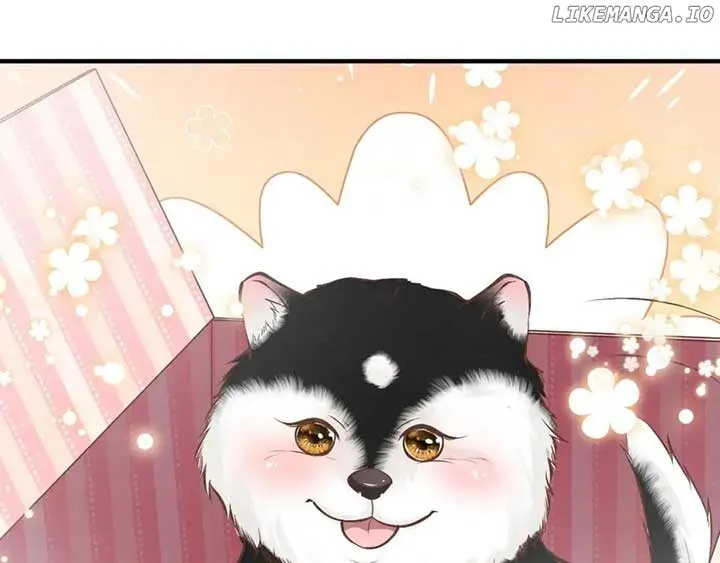 Everyone’s Darling Chapter 149 Online - página 84