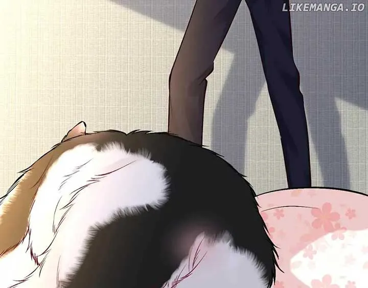 Everyone’s Darling Chapter 150 Online - página 5