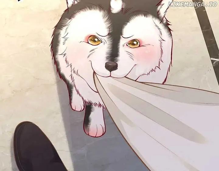 Everyone’s Darling Chapter 150 Online - página 24