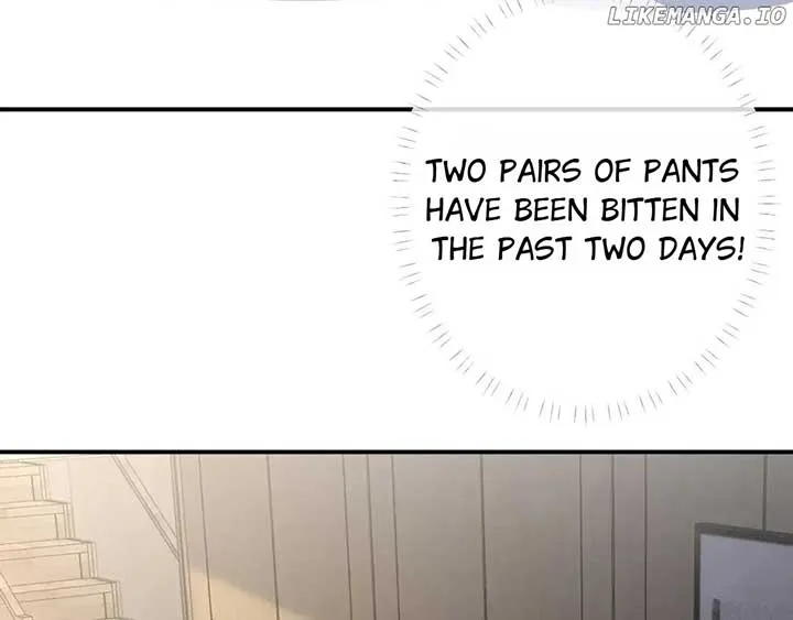 Everyone’s Darling Chapter 150 Online - página 27