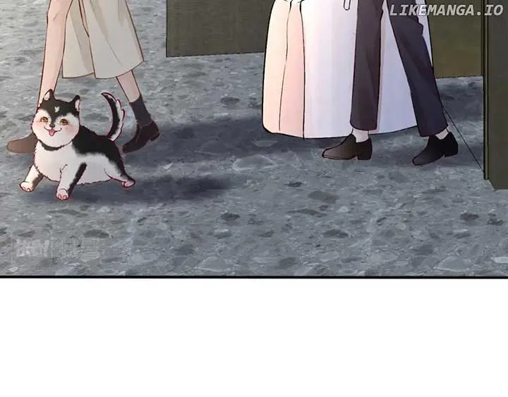 Everyone’s Darling Chapter 150 Online - página 62