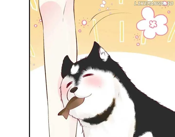 Everyone’s Darling Chapter 151 Online - página 8
