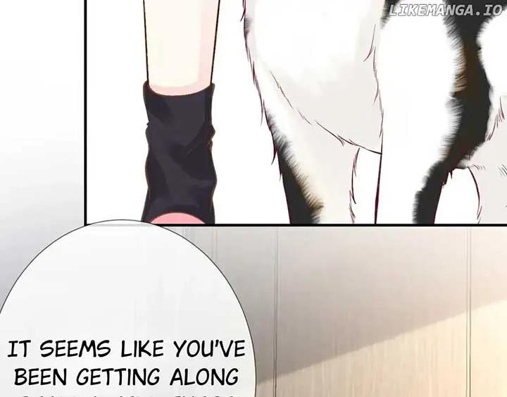 Everyone’s Darling Chapter 151 Online - página 9
