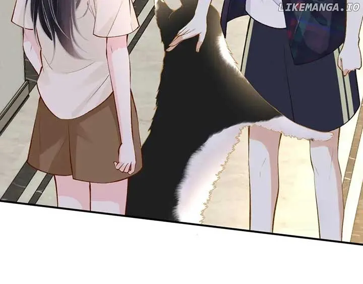 Everyone’s Darling Chapter 154 Online - página 11