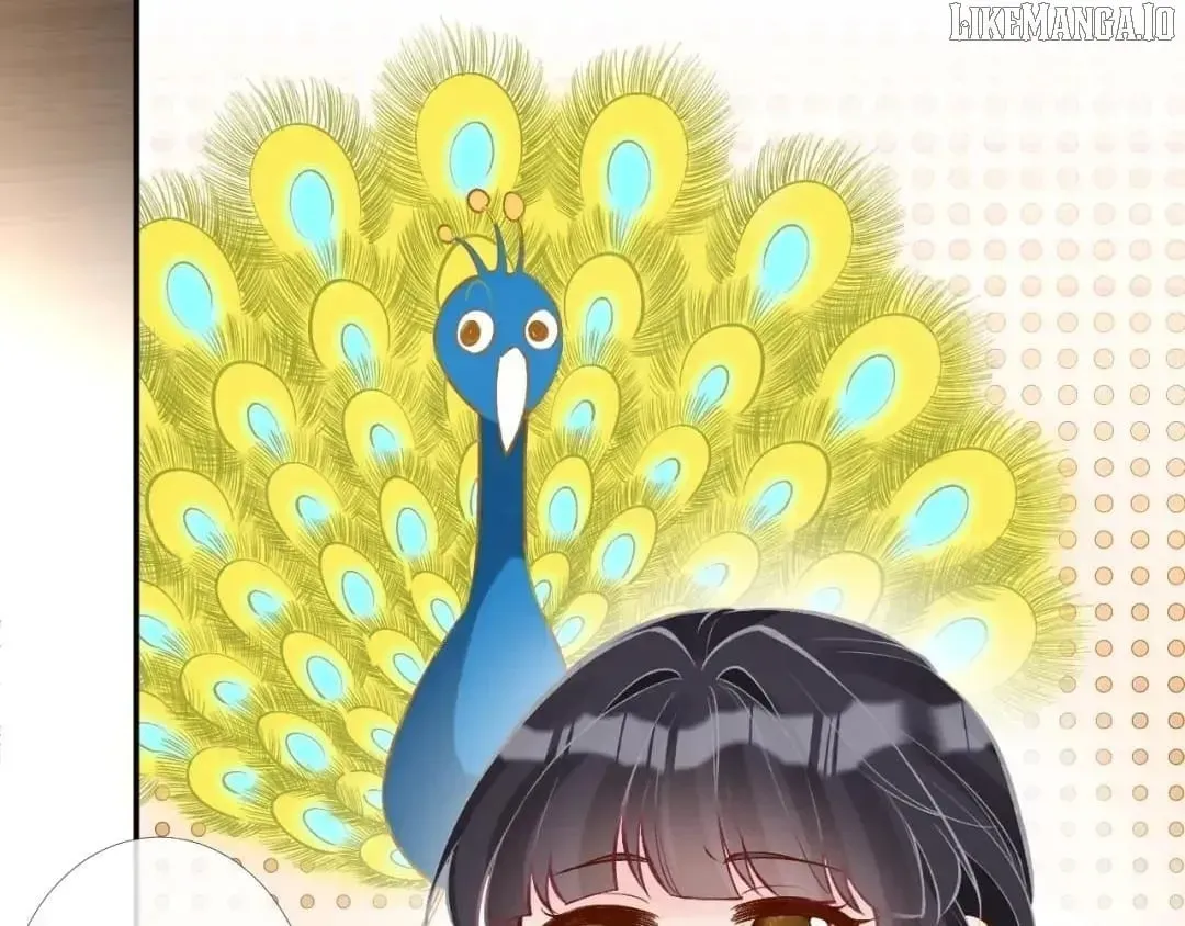 Everyone’s Darling Chapter 166 Online - página 12