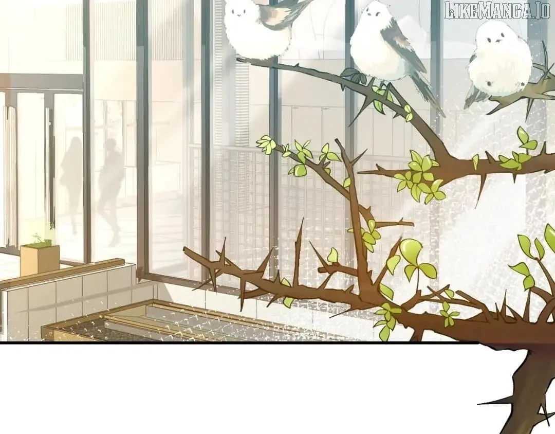 Everyone’s Darling Chapter 171 Online - página 40