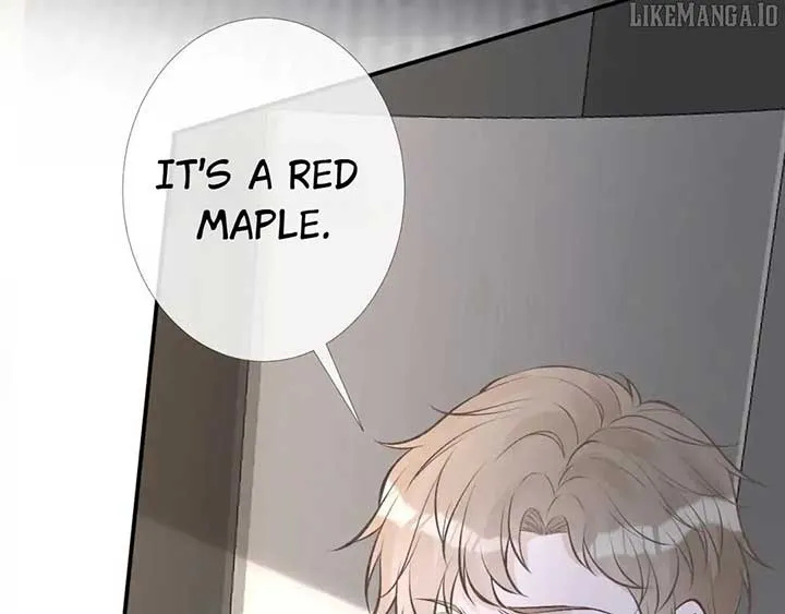 Everyone’s Darling Chapter 174 Online - página 34
