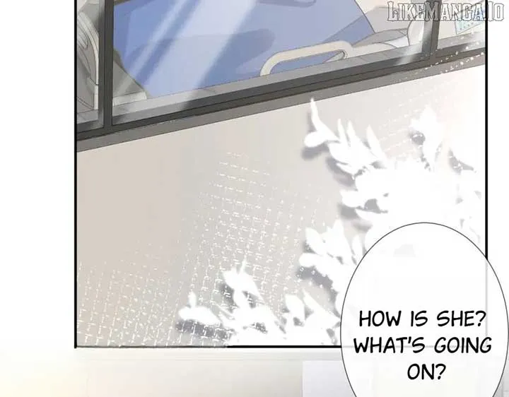 Everyone’s Darling Chapter 247 Online - página 3