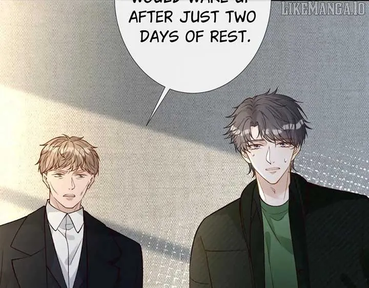Everyone’s Darling Chapter 247 Online - página 7