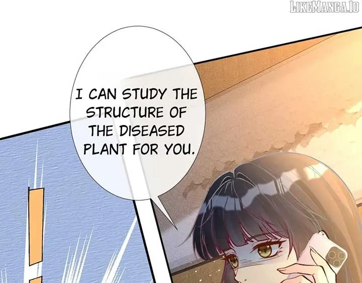 Everyone’s Darling Chapter 249 Online - página 41