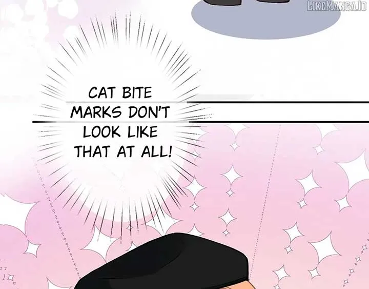 Everyone’s Darling Chapter 261 Online - página 54