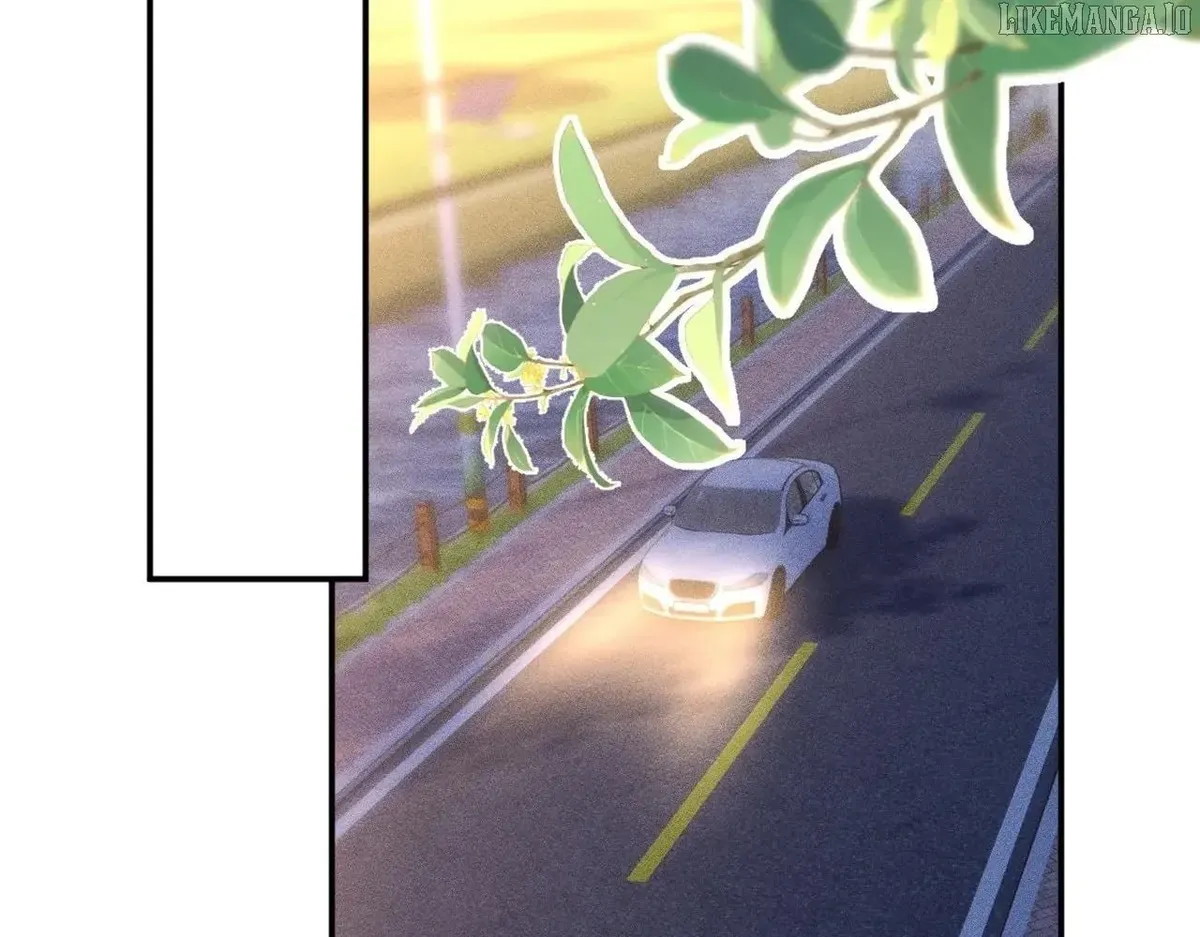 Everyone’s Darling Chapter 350 Online - página 62