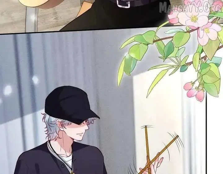 Everyone’s Darling Chapter 389 Online - página 84