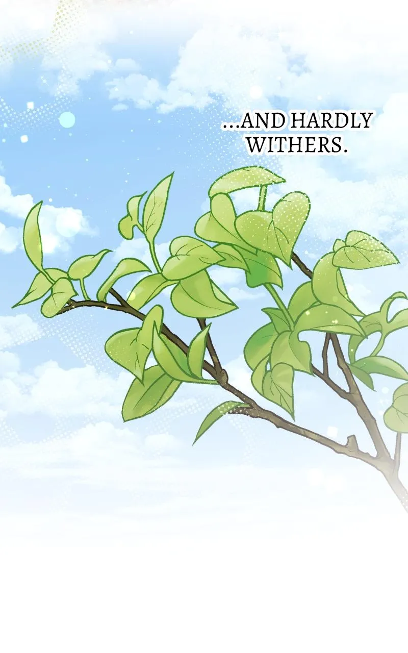 Fallen to Paradise Chapter 18 Online - pƔgina 82