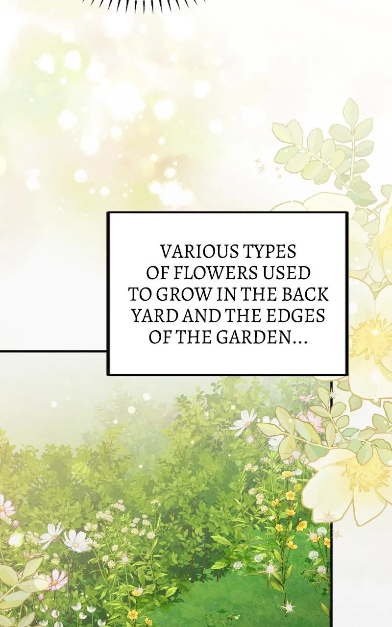Fallen to Paradise Chapter 20 Online - pƔgina 6