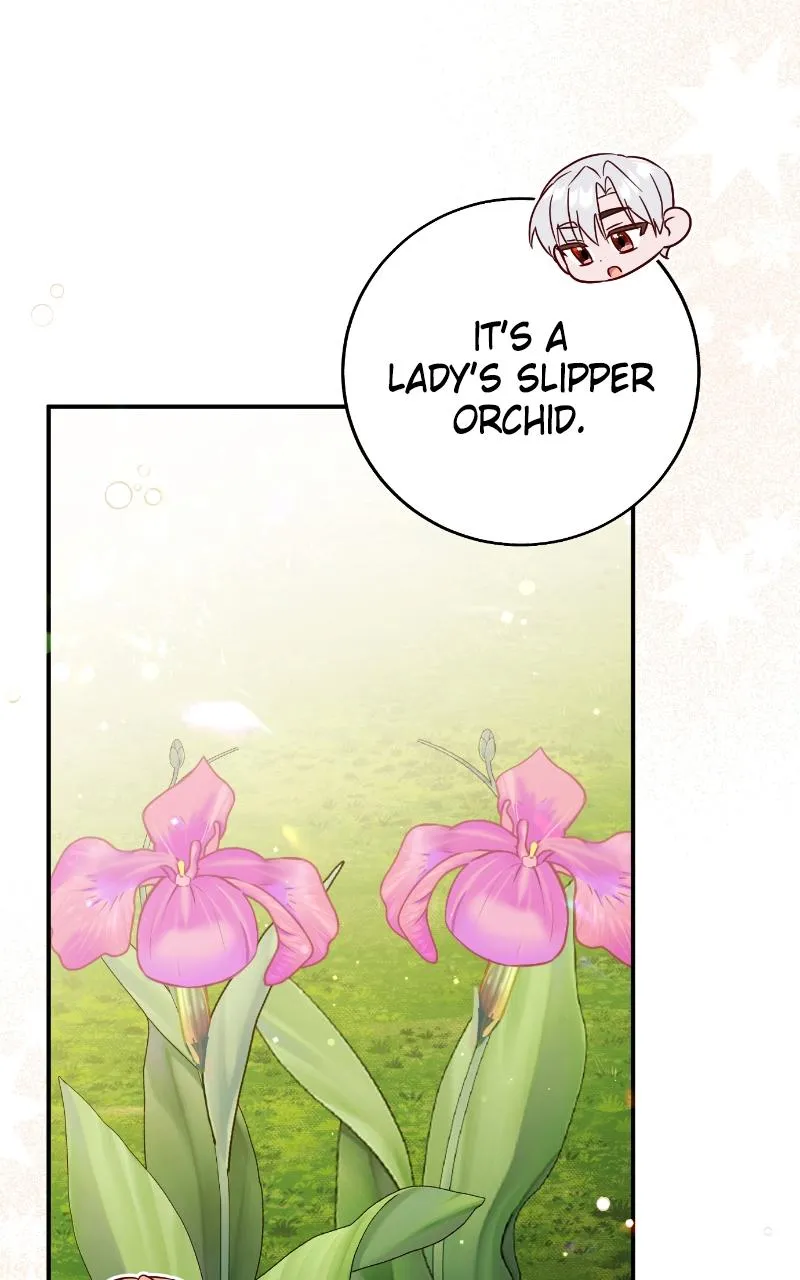 Fallen to Paradise Chapter 33 Online - pƔgina 64