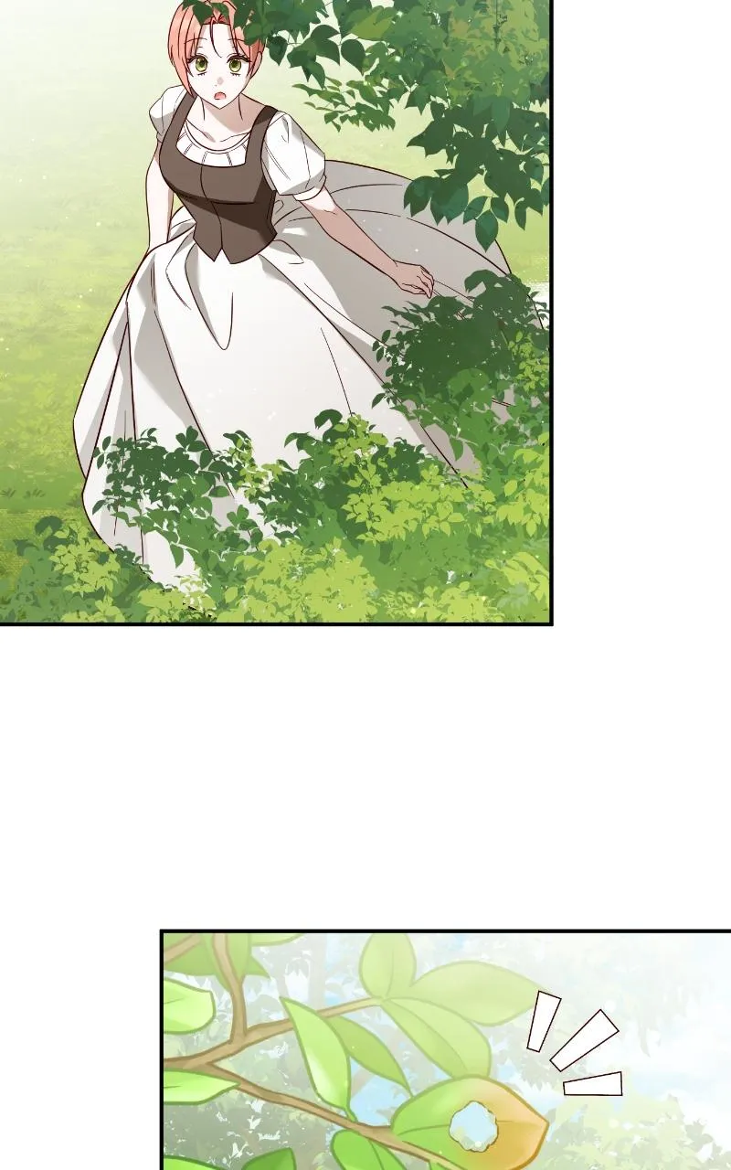 Fallen to Paradise Chapter 47 Online - pƔgina 11