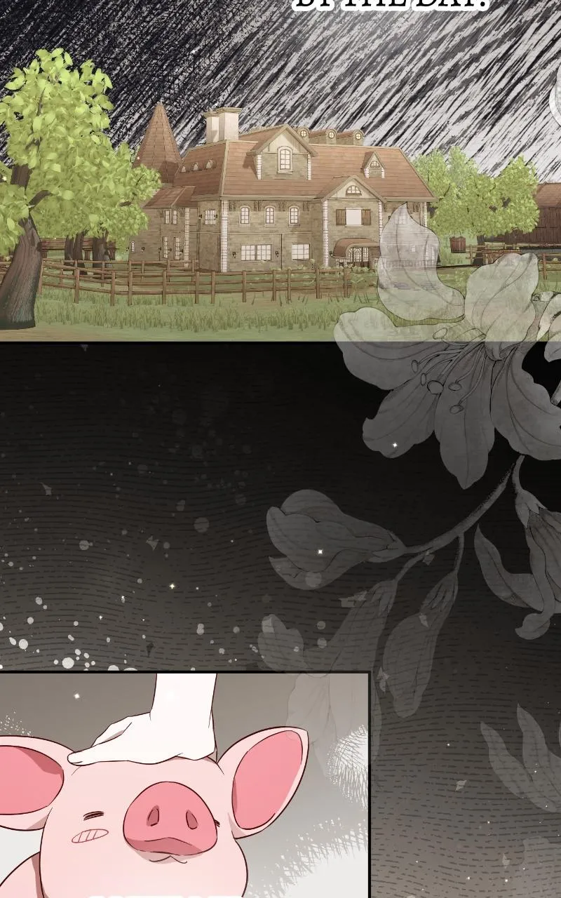 Fallen to Paradise Chapter 51 Online - pƔgina 5