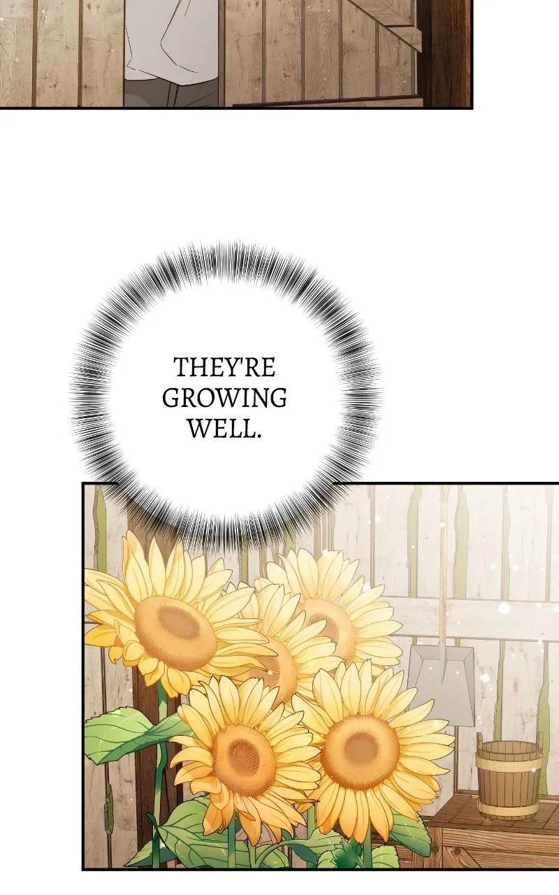 Fallen to Paradise Chapter 52 Online - pƔgina 9