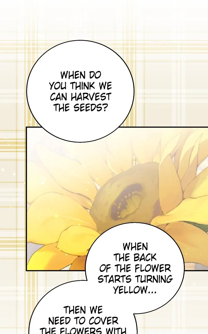 Fallen to Paradise Chapter 56 Online - pƔgina 50
