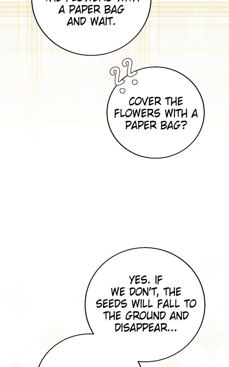 Fallen to Paradise Chapter 56 Online - pƔgina 51